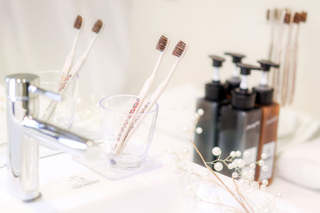 MintAnd_ホタテ印の歯ブラシ（本体） – 東北スタンダードマーケット