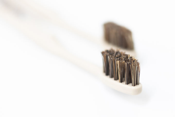 MintAnd_ホタテ印の歯ブラシ（本体） – 東北スタンダードマーケット